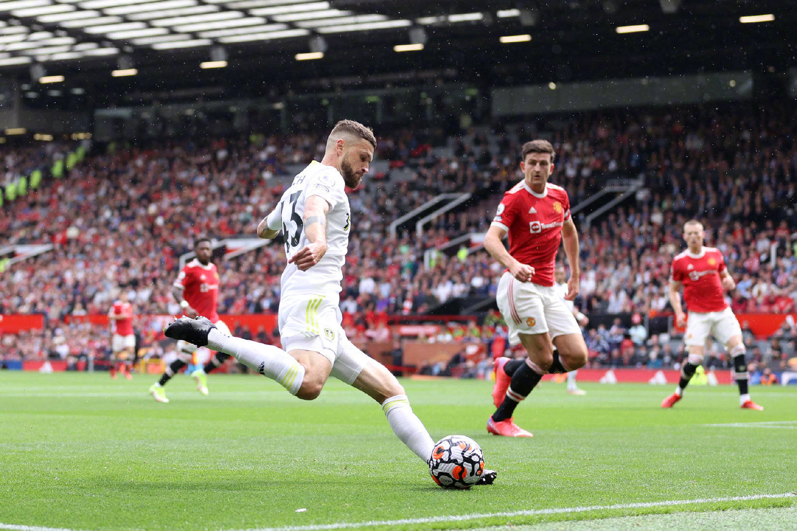 子清晰地展 子清晰地展