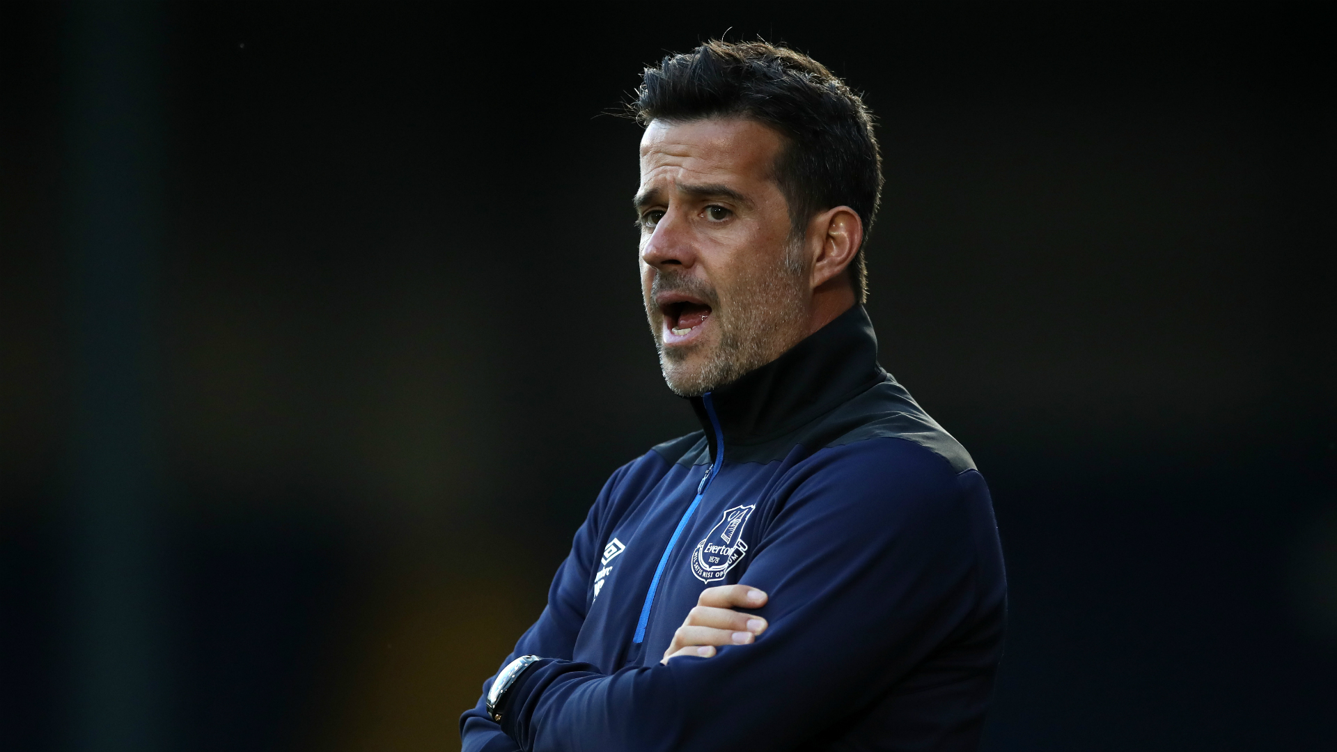 的象牙白和 的象牙白和