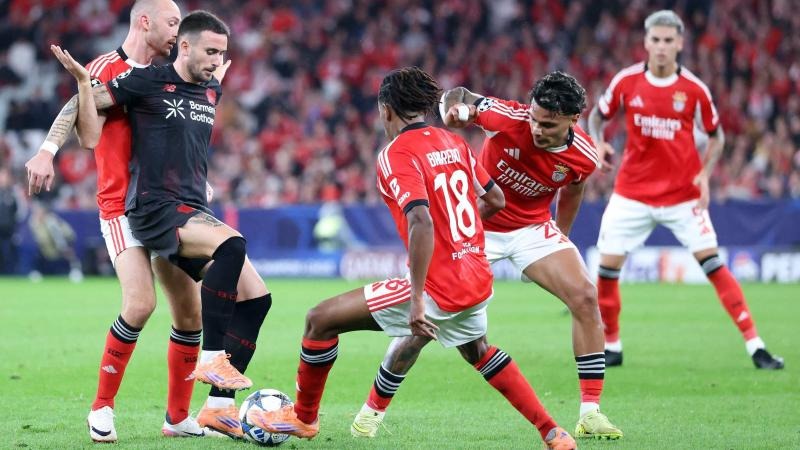 与追身三分 与追身三分